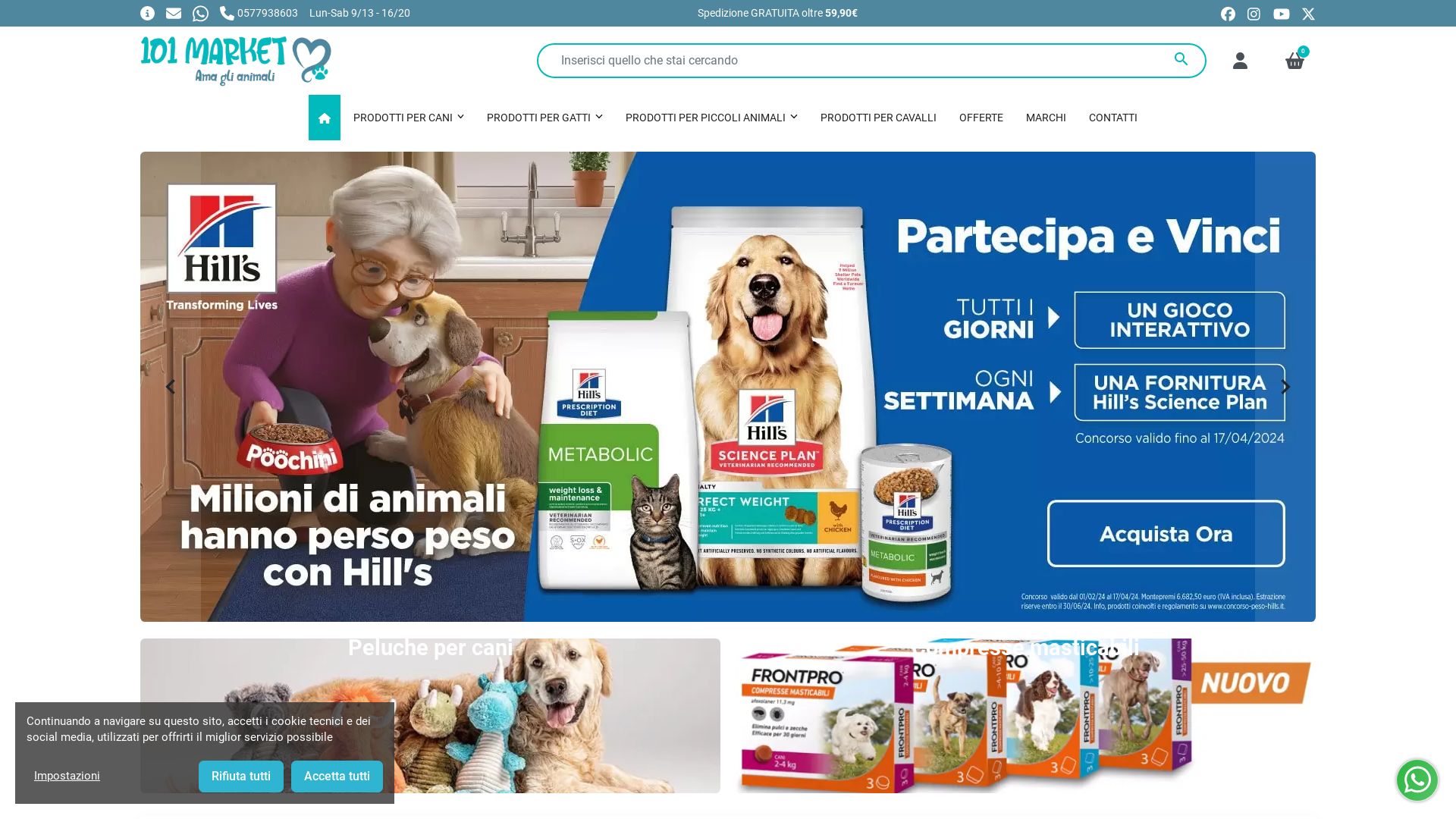 Estado web 101market.it está   ONLINE