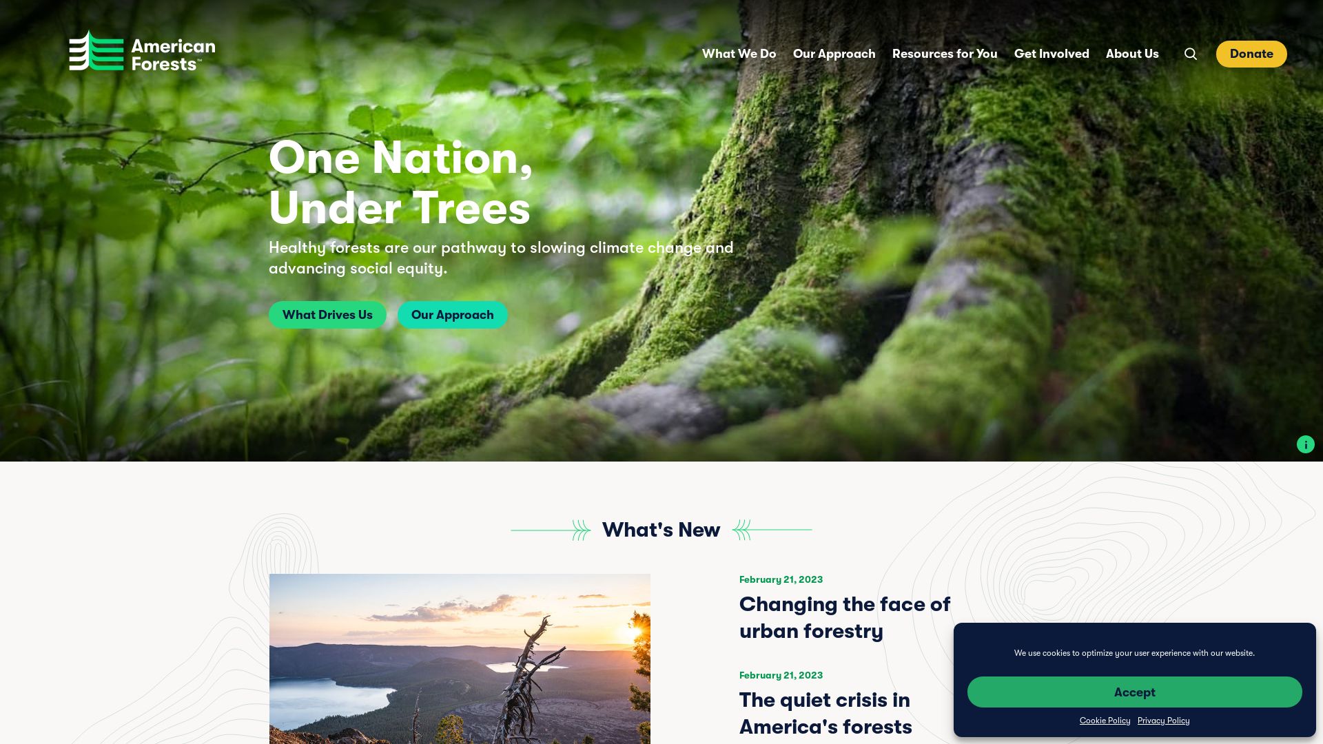 Estado web americanforests.org está   ONLINE