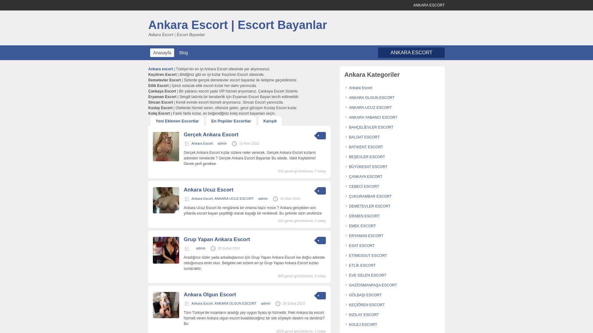 Estado web ankarabayan.org está   ONLINE