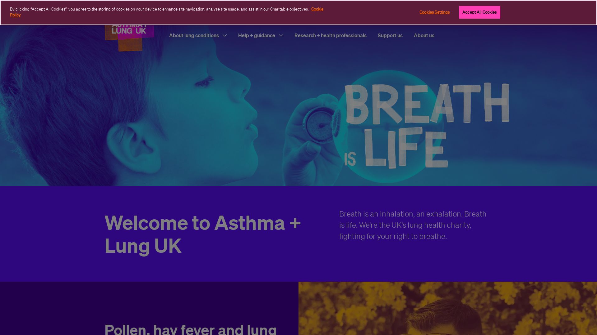 Estado web asthma.org.uk está   ONLINE