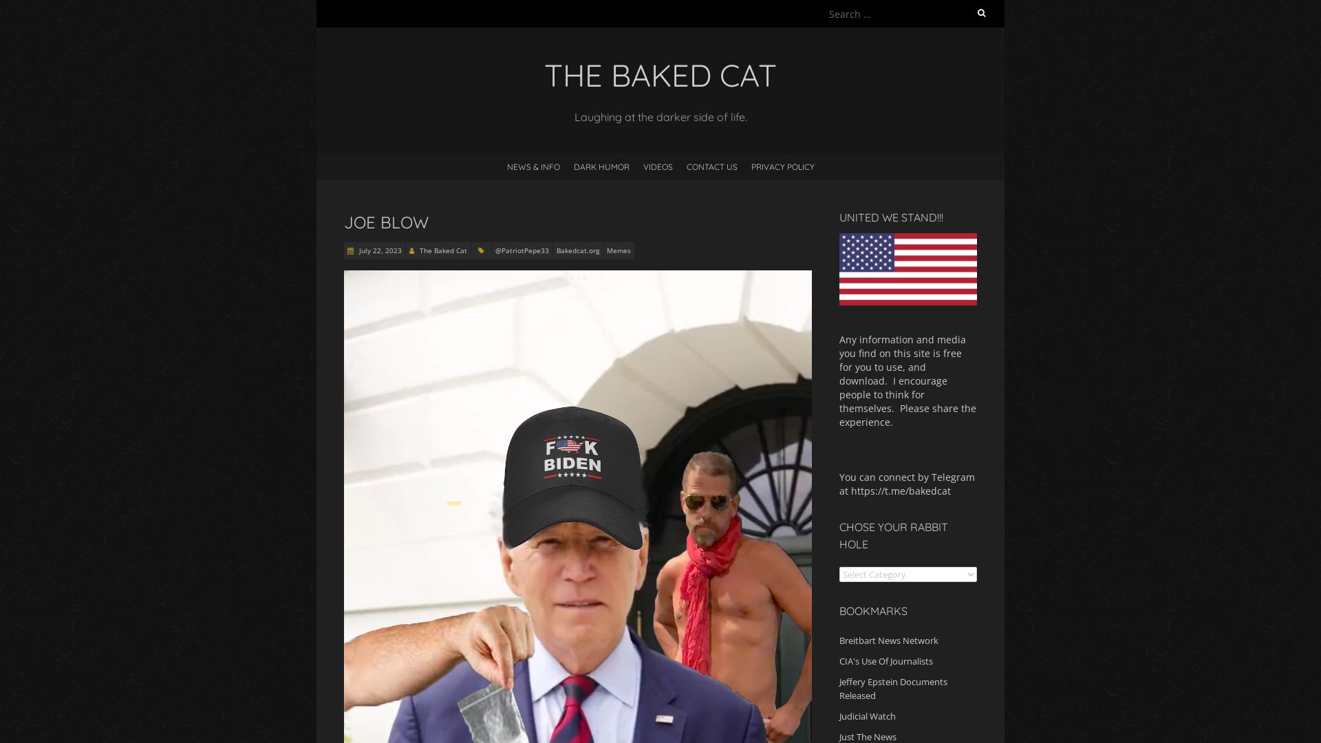 Estado web bakedcat.org está   ONLINE