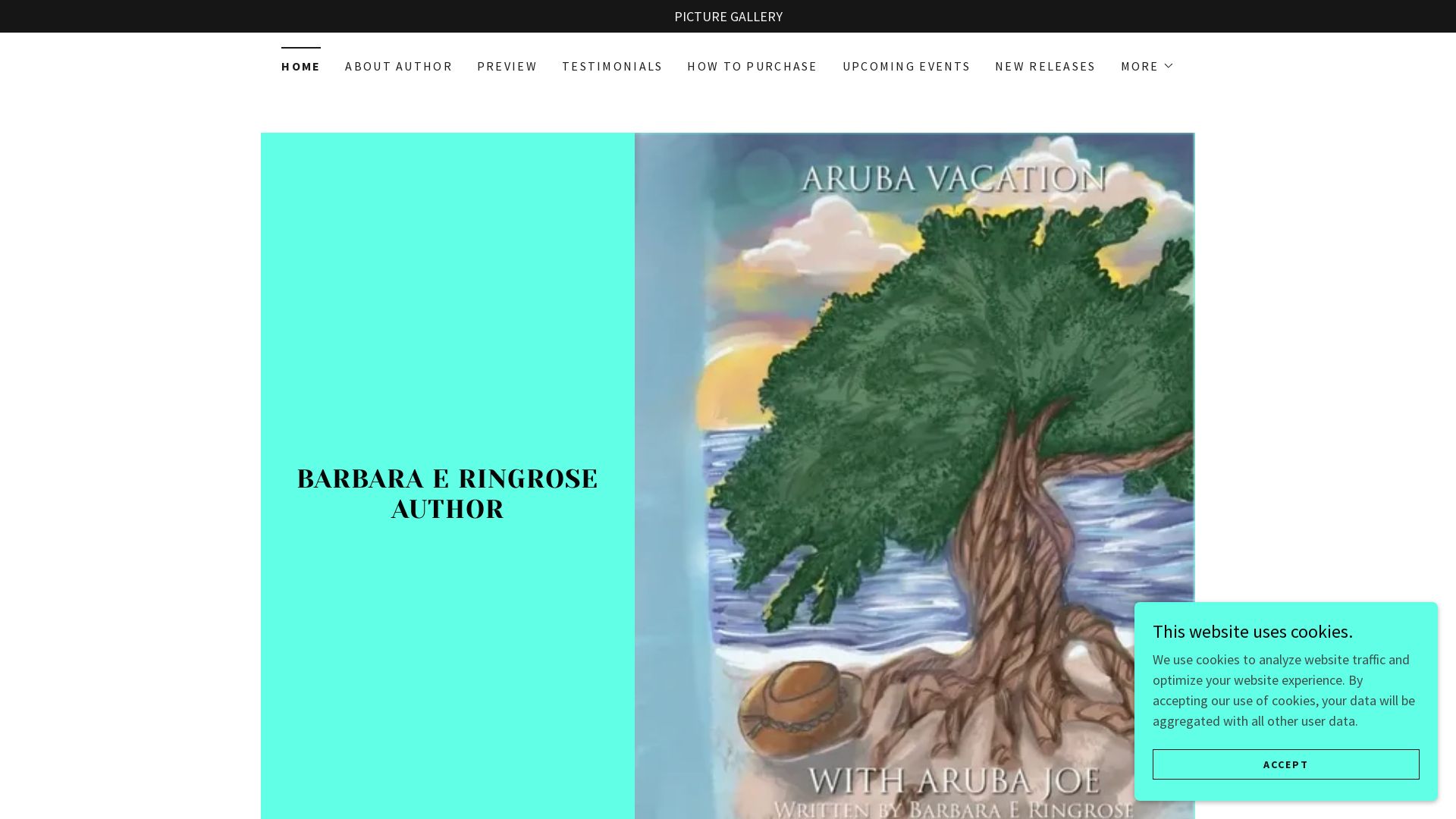Estado web barbararingrose.com está   ONLINE
