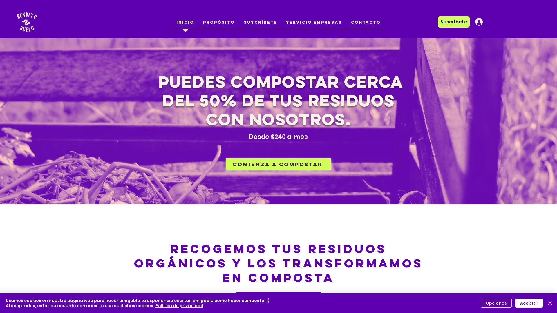 Estado web benditosuelo.com está   ONLINE