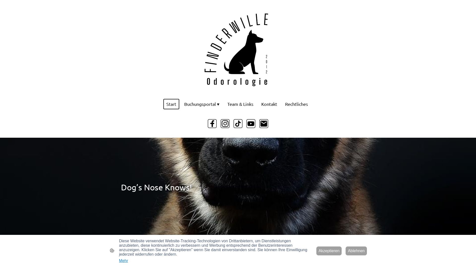 Estado web finderwille.de está   ONLINE