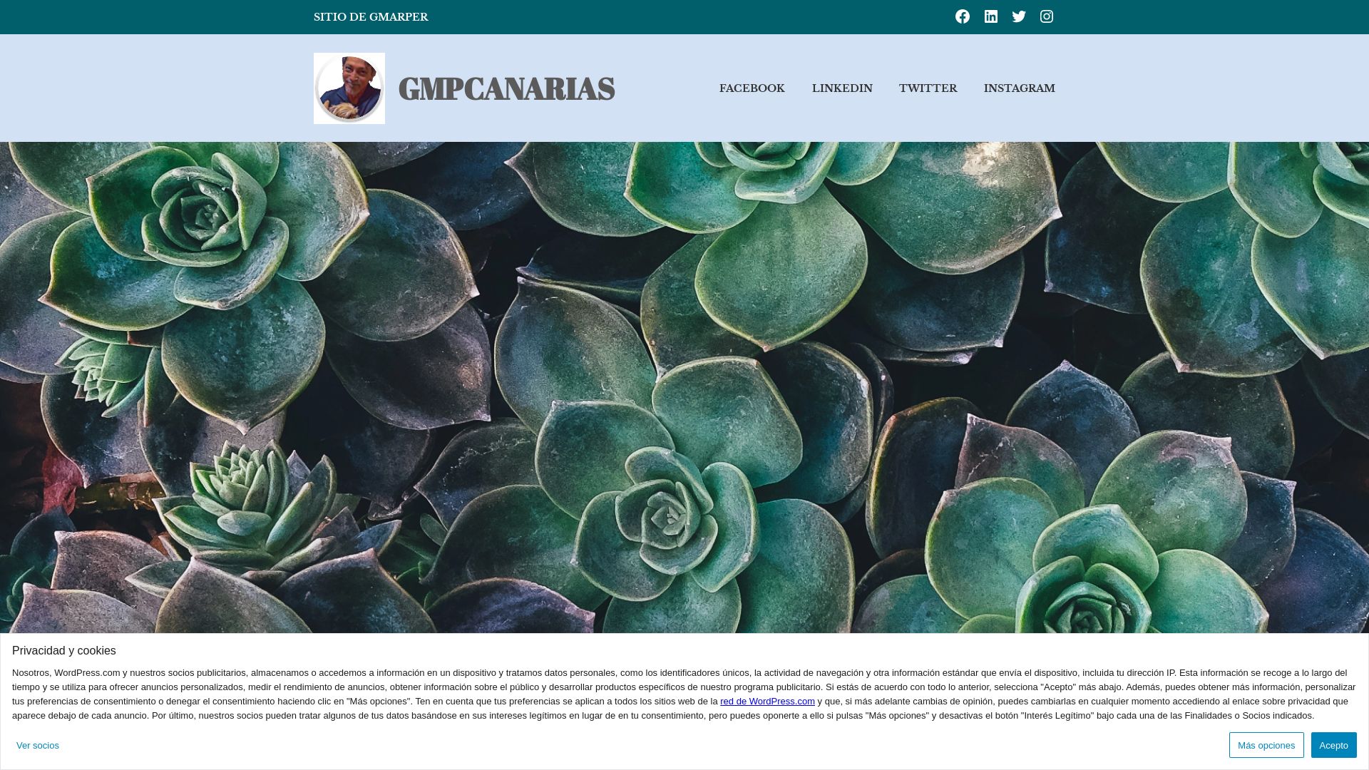 Estado web gmpcanarias.wordpress.com está   ONLINE