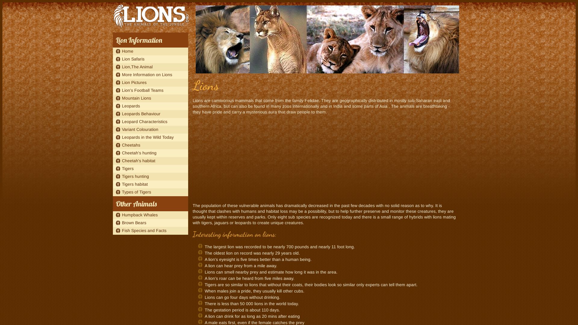 Estado web lions.org está   ONLINE