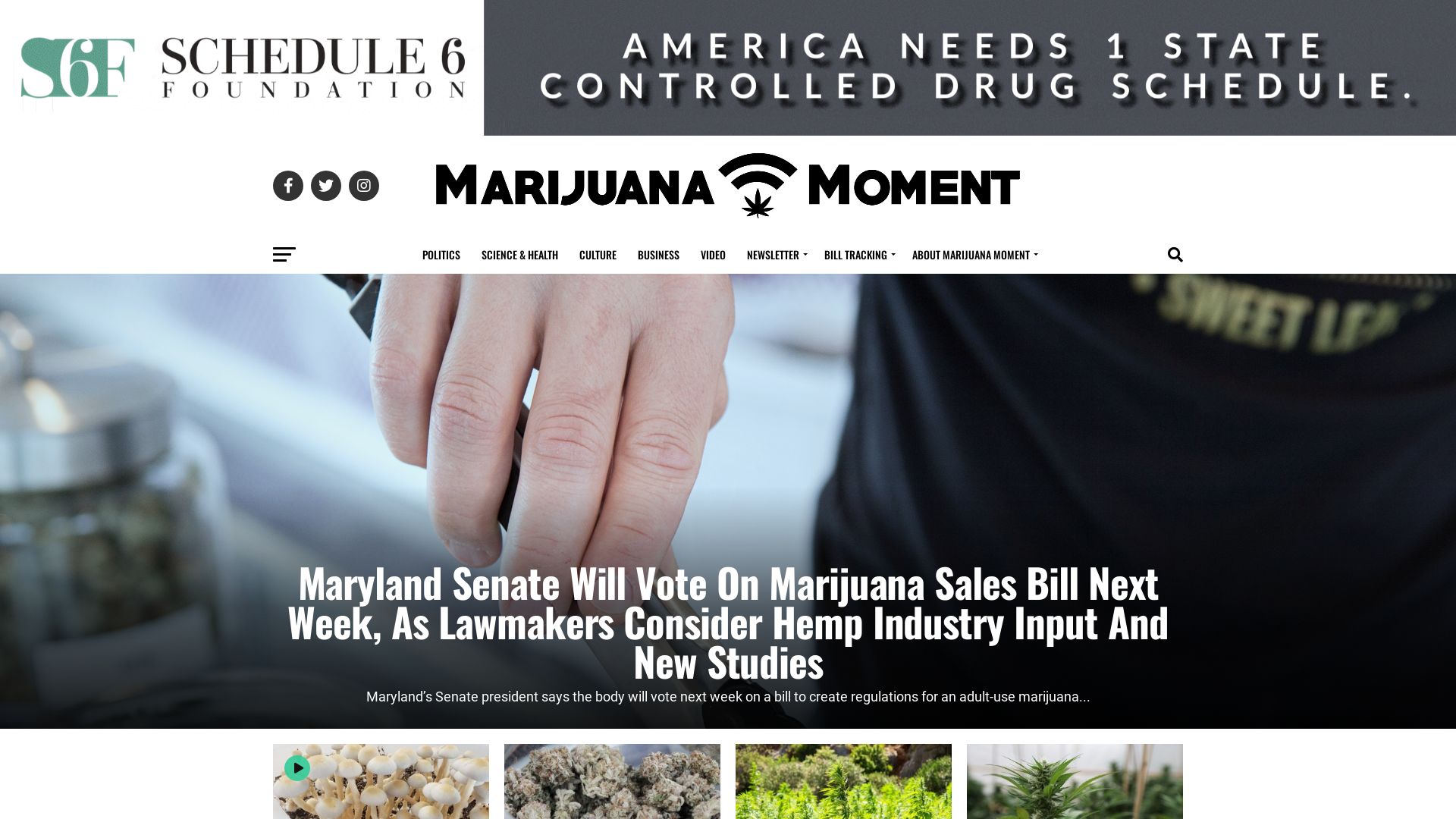 Estado web marijuanamoment.net está   ONLINE
