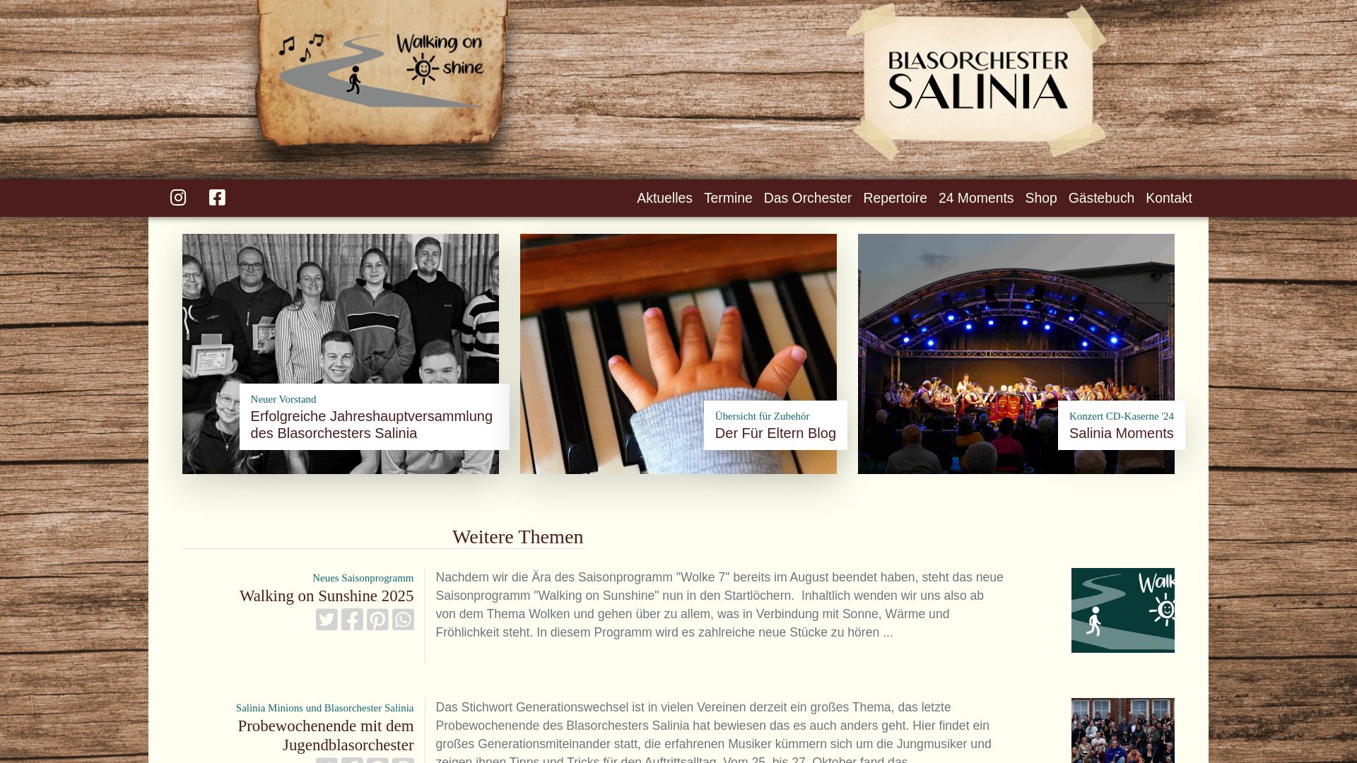 Estado web salinia.de está   ONLINE