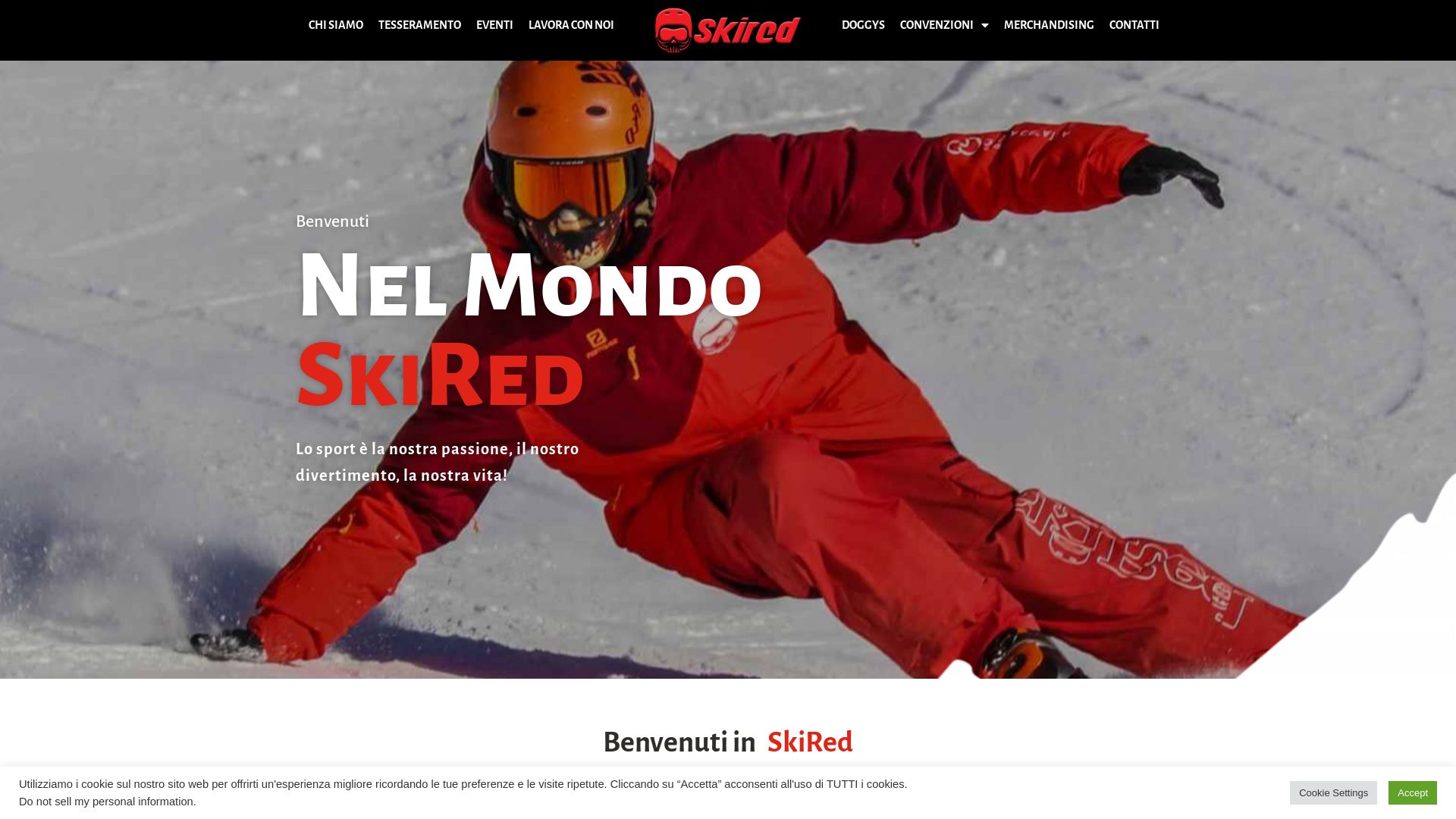 Estado web skired.it está   ONLINE