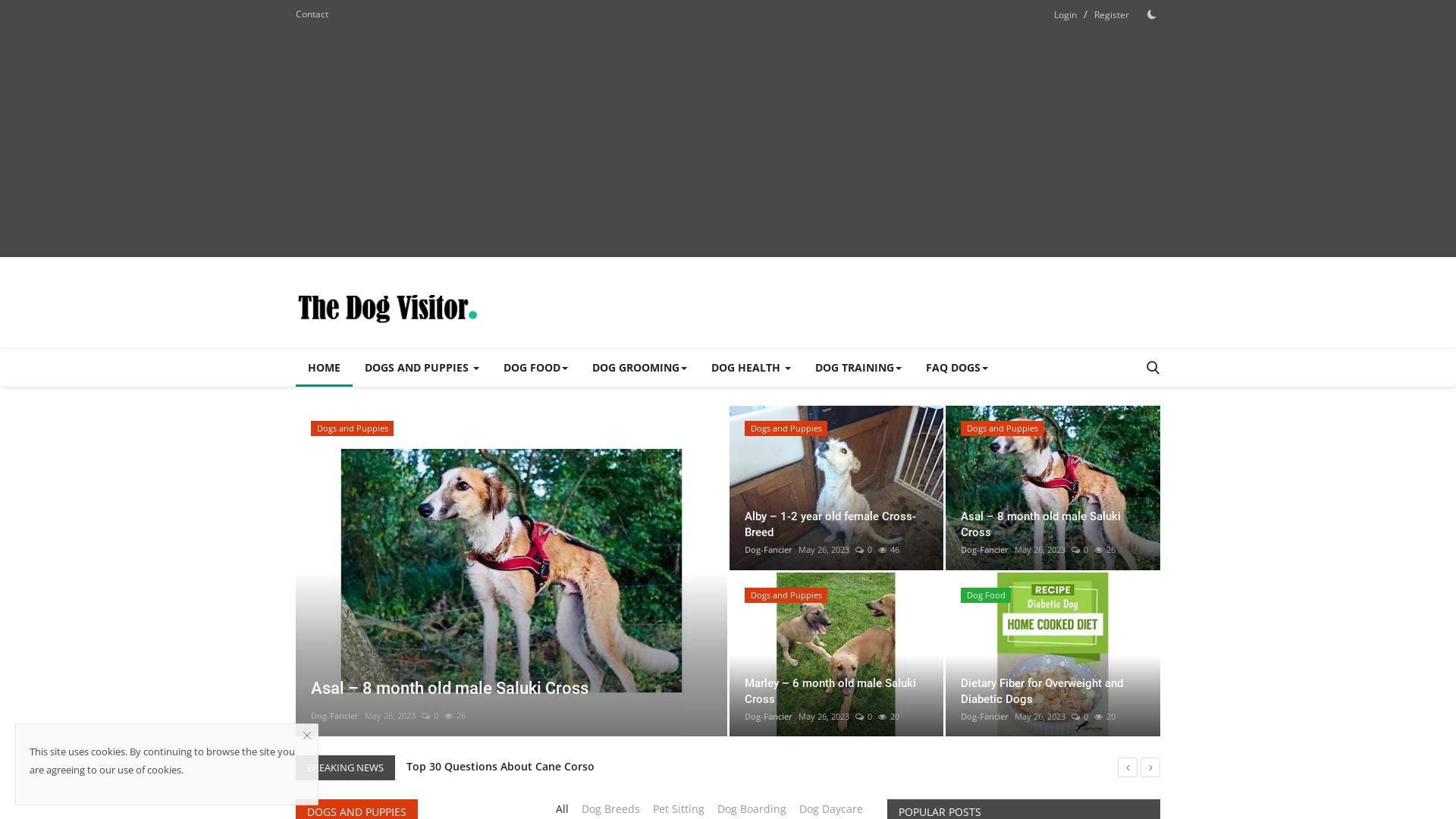 Estado web thedogvisitor.com está   ONLINE