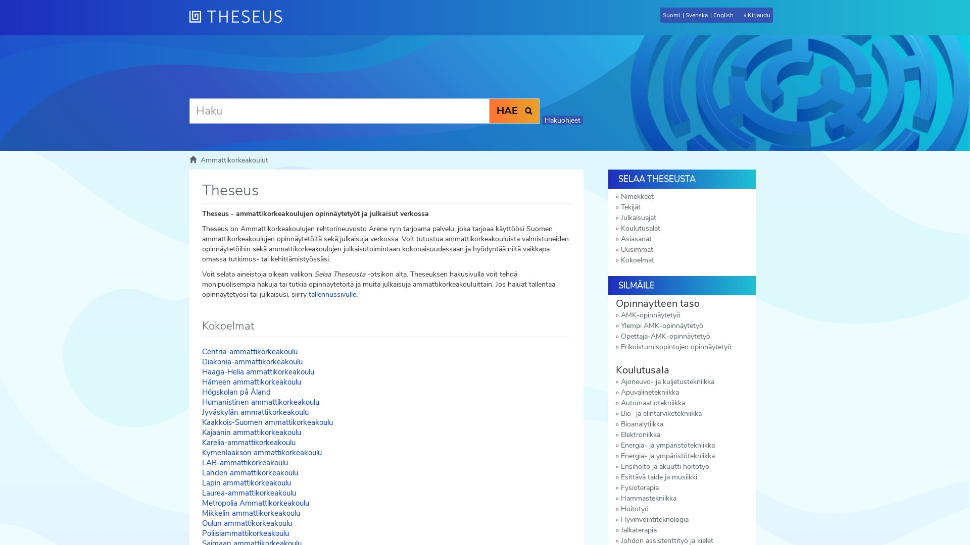 Estado web theseus.fi está   ONLINE